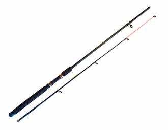 Спиннинг штекерный  тест 10-30 2,1м Big Fish композит
