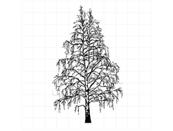 штамп  для скрапбукинга   с деревом - ветвистой березой