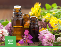 Эфирные масла