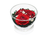 Композиция из красных роз, CuSr3 / Цветы в стекле / Подарок женщинам 8 марта