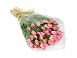 31 розовый Тюльпан