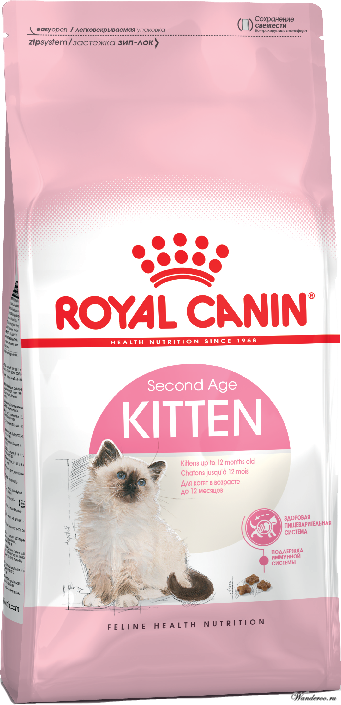 Buy royal canin near me shop
