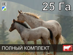 Электропастух СТАТИК-3М для лошадей на 25 Га - Удержит даже самого резвого скакуна!