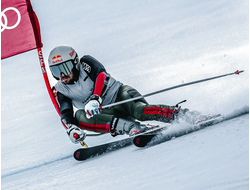 Спортивные лыжи для взрослых (Augment, VanDeer)