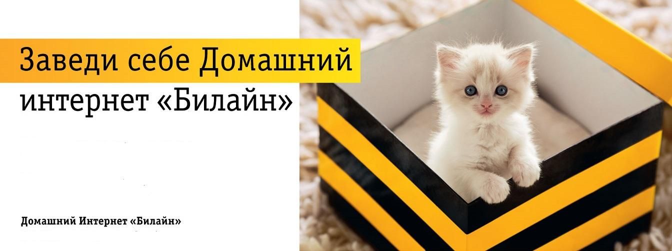Билайн Интернет Магазин Официальный Уфа
