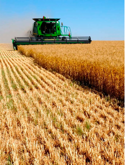 Объекты сельского хозяйства