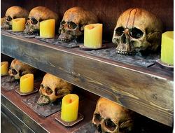 Cabinet with skulls