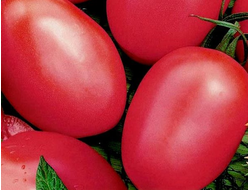 семена томаты "Де-барао Царский" 10 шт.