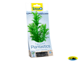 270206 Растение аквариумное Green Cabomba (S) 15cм с утяжелителем