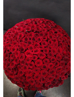 Букет из красных роз, красные розы в коробке, красные розы купить в москве, 201 красная роза