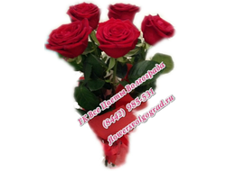 Букет Бордо из 5 роз