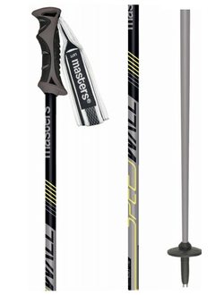 Палки горнолыжные MASTERS SPEEDWALL gray