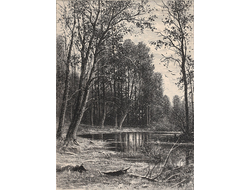 Шишкин И.И. «Весна» 1885 г. Бумага, офорт. - 26,2x18,1 см (оттиск); 30,2х21 см (лист) (998)