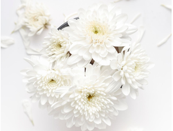CREMEFLEUR N° 408