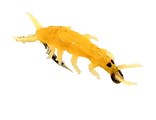 Мухо-мормышка Гаммарус бормыш жёлт.вес.0.10gr.14mm. d-3.5mm
