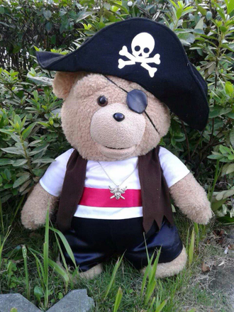 Тед Пират