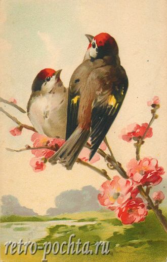 1159 Цветы и птицы  Catharina Klein
