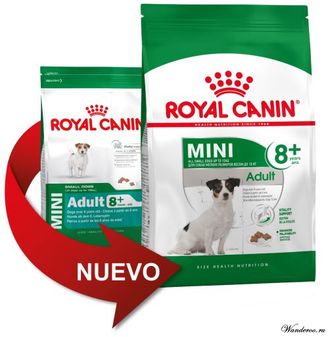 Royal Canin Mini Adult +8 Роял Канин Мини Эдалт корм для взрослых собак мини пород старше 8 лет, 2 кг