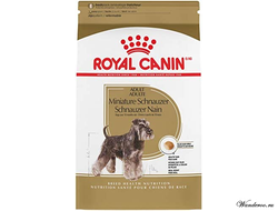 Royal Canin Miniature Schnauzer Adult Роял Канин Миниатюрный Шнауцер Эдалт корм для собак породы миниатюрный шнауцер, 3 кг