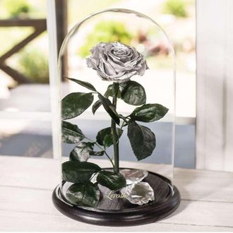 Стабилизированная роза в колбе Lerosh - Lux 33 см, Silver Серебро