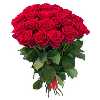 Красные розы Эквадор  70-80см