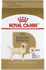 Royal canin retriever labrador shop