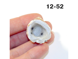 Агат натуральный (жеода) №12-52: 9,5г. - 25*23*17мм