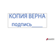 Штамп стандартный «КОПИЯ ВЕРНА, подпись», оттиск 38×14 мм, синий, TRODAT 4911P4-3.42. 236838