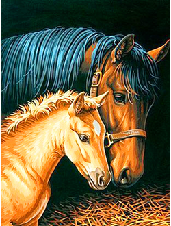 Алмазная картина (мозаика) &quot;Лошадь и жеребенок&quot; 30*40/40*50 см