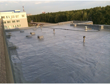 Полимочевина Basf Elastocoat C 6335/101 стандартная, химстойкая