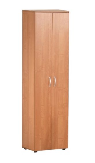 Шкаф для одежды малый с замком «Альфа» 61.(62).43 55х39х200