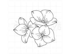 штамп цветы гортензии