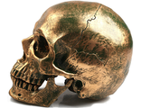череп, человека, бронза, золото, челюсть, скелет, skull, голова, труп, кости, черепок, реквизит,gold