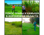 Мы предлагаем покос травы и камыша жителям Воронежа и Воронежской области