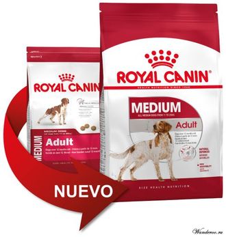 royal canin medium adult