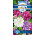 Петуния Аллегра смесь срез.Гавриш