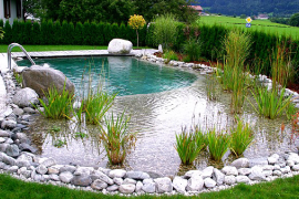 Ландшафтный дизайн (обустройство прудов, бассейнов)