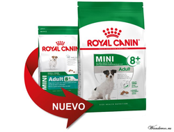 Royal Canin Mini Adult +8 Роял Канин Мини Эдалт корм для взрослых собак мини пород старше 8 лет, 2 кг