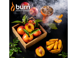Табак Burn Nectarin Нектарин 100 гр