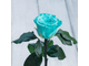 Стабилизированная роза в колбе Lerosh - Mini 27 см, Бирюзовая