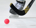 Сетка гаситель для хоккея с мячом 2,0м*3,5м нить 3,1 мм