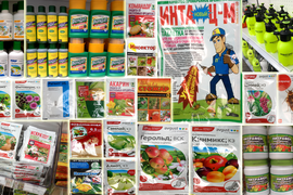 Средства защиты сада от болезней и вредителей