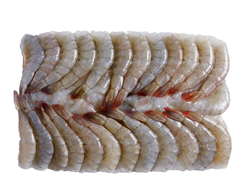 Креветка Королевская Ваннамей б/г с/м 16/20(крупная), Индия, 1,8 кг Блок. FISH & MORE