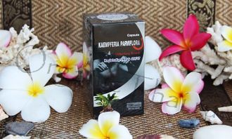 Купить капсулы для потенции и профилактики простатита Kaempferia Parviflora, отзывы, инструкция