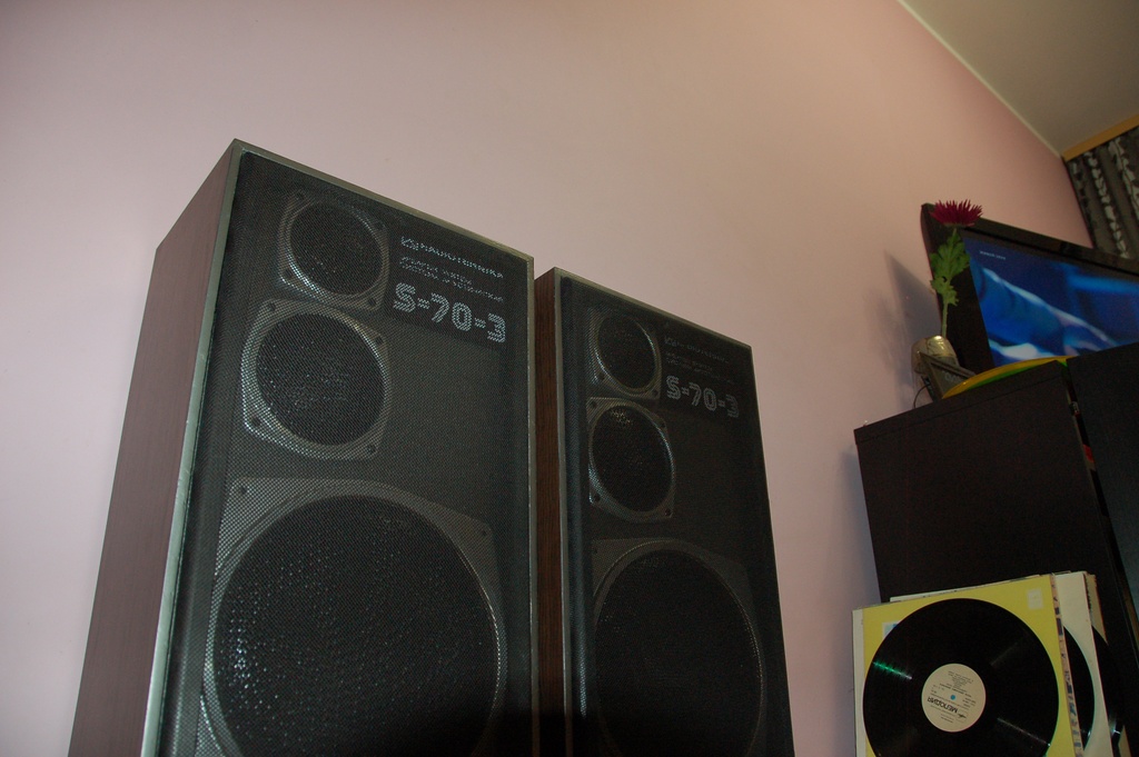 Акустика - Радиотехника S70-2 (35АС-013)