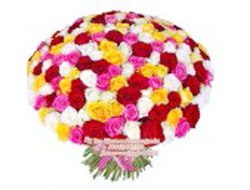 101 роза букет Вечер в Италии