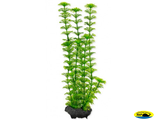 270329 Растение аквариумное Ambulia (M) 23см с утяжелителем