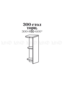 Шкаф нижний торц (ШНТ300)