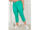 Женские летние брюки &quot;ПОРТОФИНО-3&quot; арт . 7058 (Цвет зеленый) Размеры 52-66