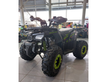 ATV WILD 125-8 NEW BASIC